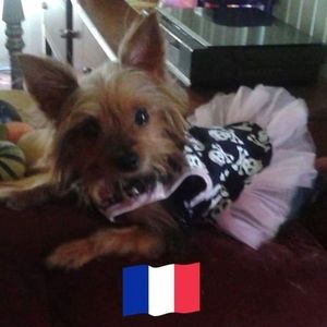 Meet your Posher, Leslie